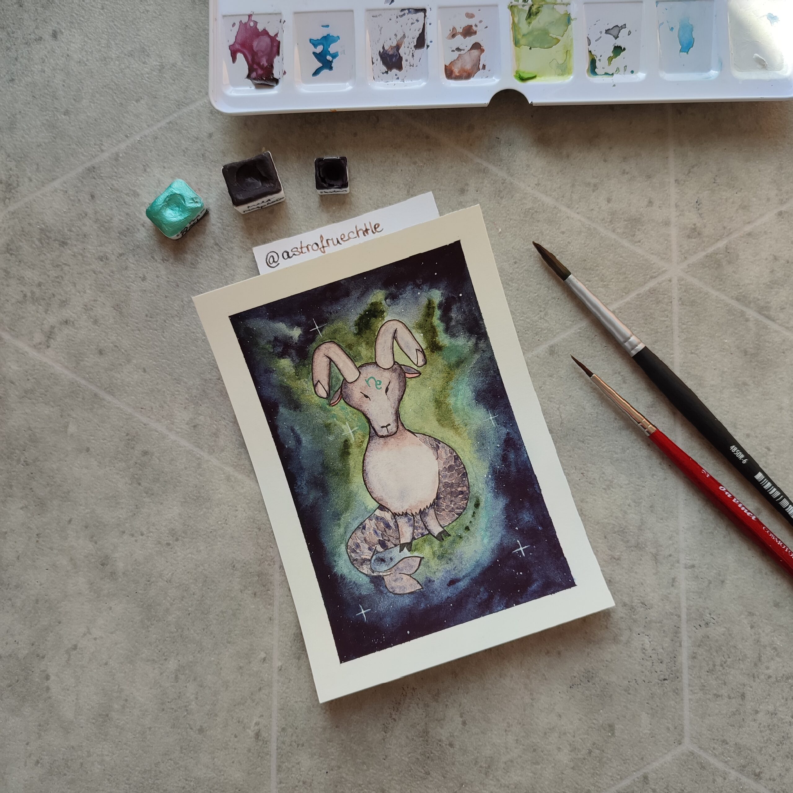 Capricorn – the zodiac collection