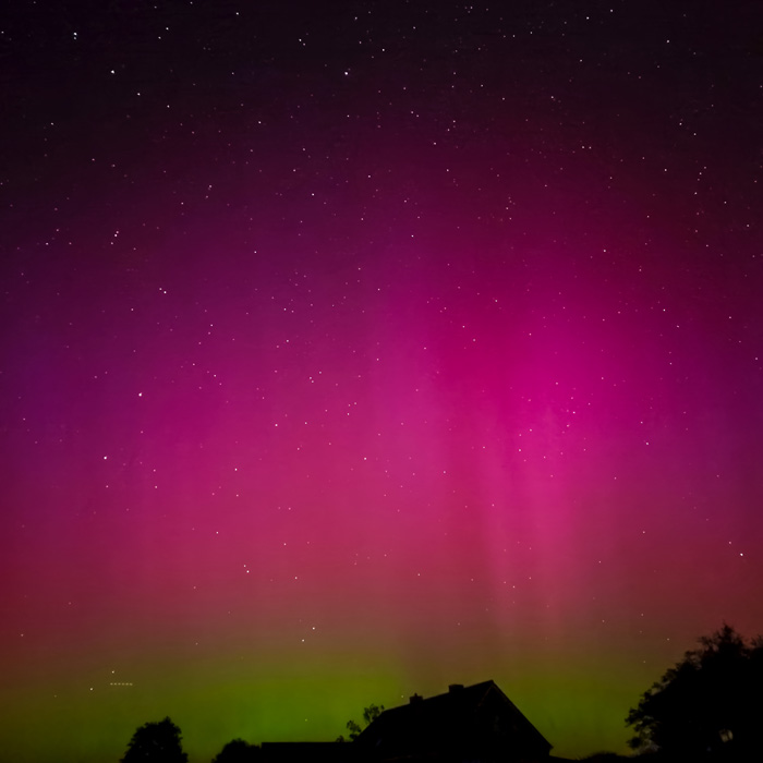 A magical summer night surprise